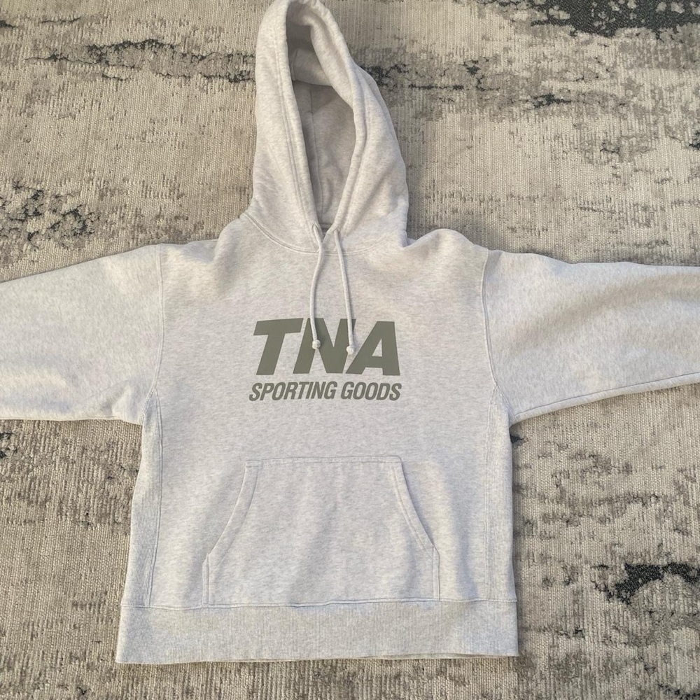 Grey Aritzia TNA hoodie